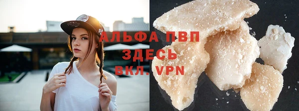 гидра Липки