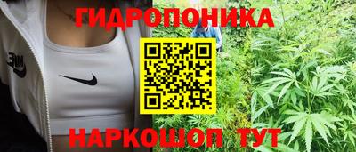 a pvp Гагарин