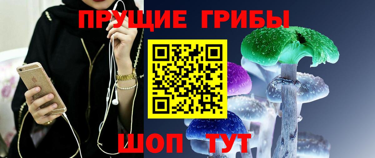 Псилоцибиновые грибы Psilocybe  Вход с VPN  Кирово-Чепецк 